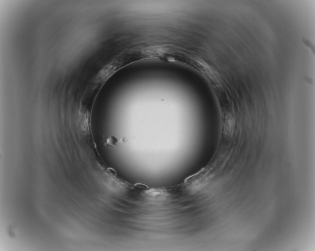 X0000095880477200801111137