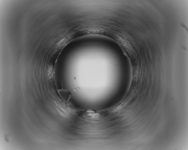 X0000095880478200801111137