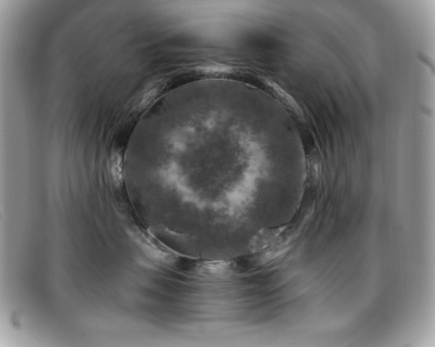 X0000095880479200801111137