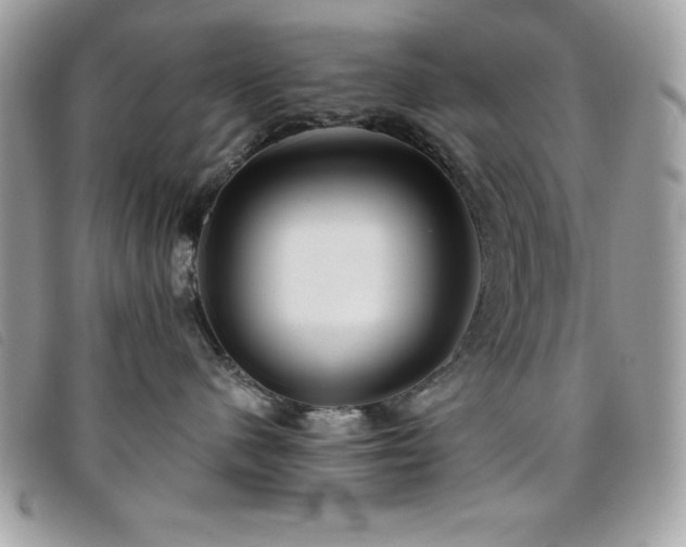 X0000095880480200801111137