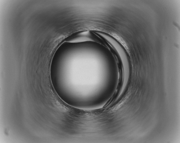 X0000095880481200801111137