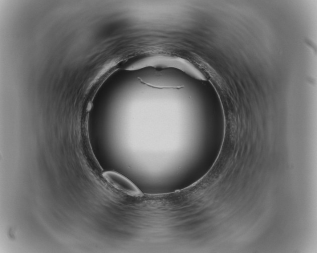 X0000095880482200801111137