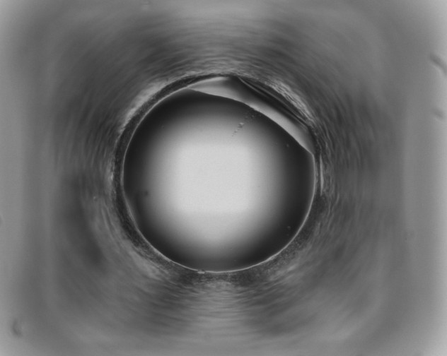 X0000095880483200801111136