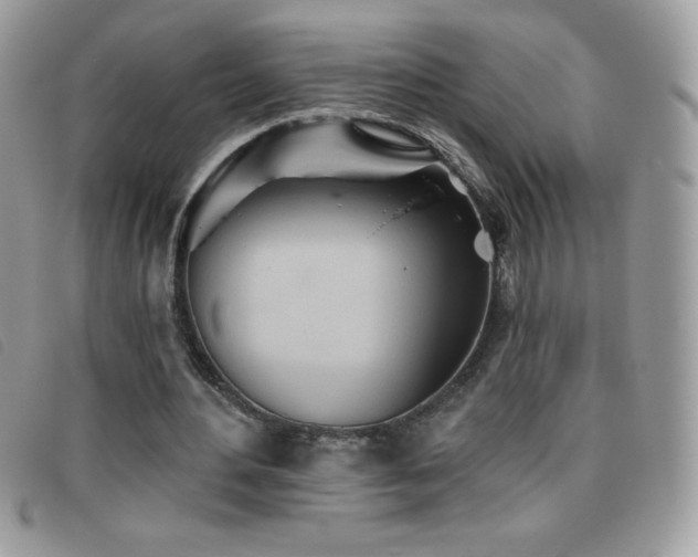 X0000095880484200801111136