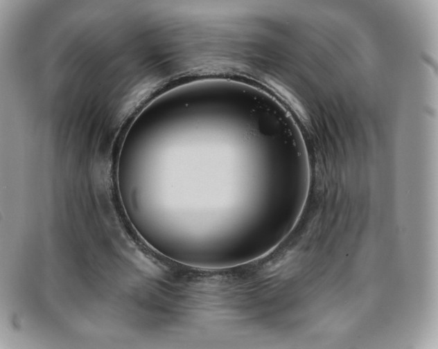 X0000095880485200801111136