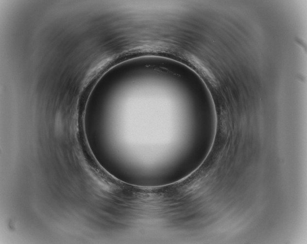 X0000095880486200801111136