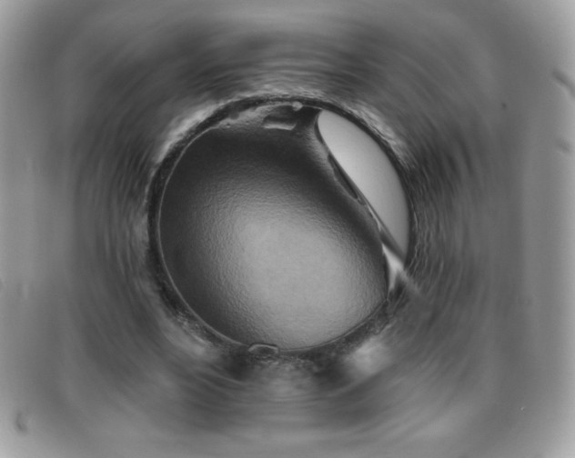 X0000095880488200801111136