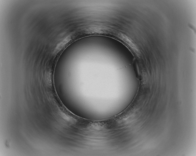 X0000095880489200801111136