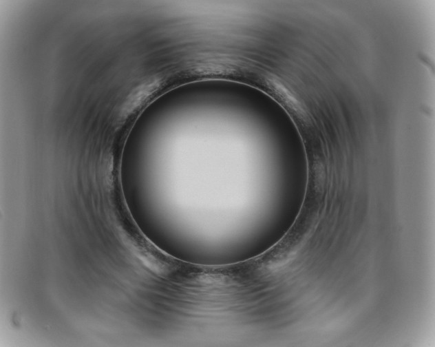 X0000095880490200801111136