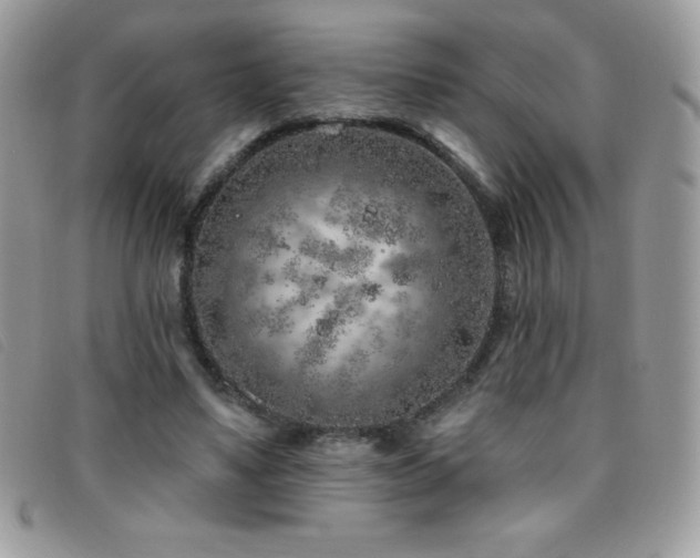 X0000095880491200801111136