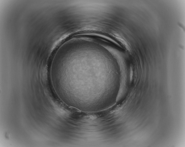 X0000095880492200801111136