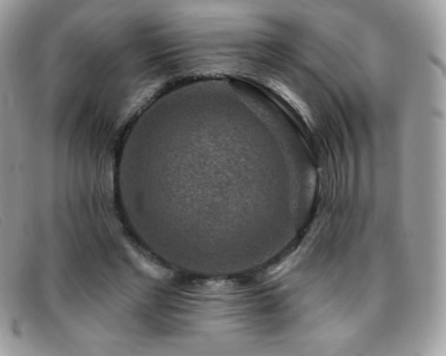 X0000095880493200801111136