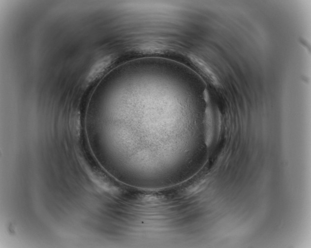 X0000095880494200801111136