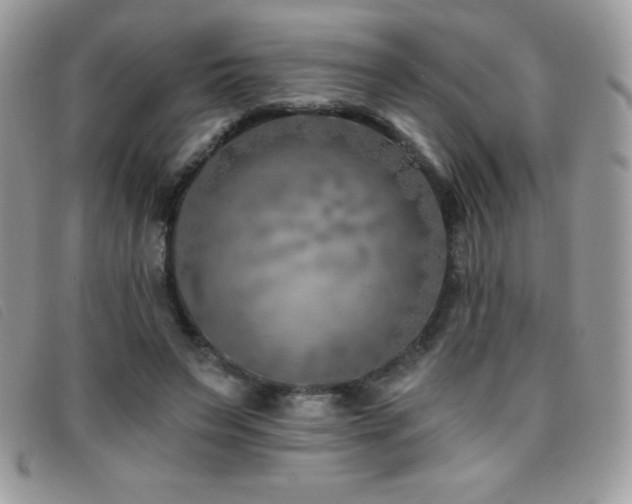 X0000095880495200801111136