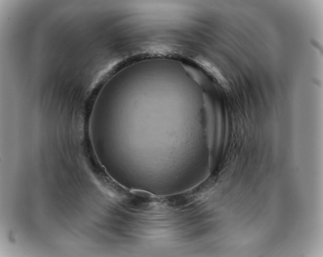 X0000095880496200801111136