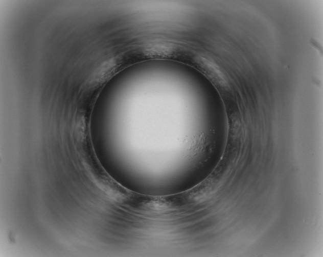 X0000095880498200801111136