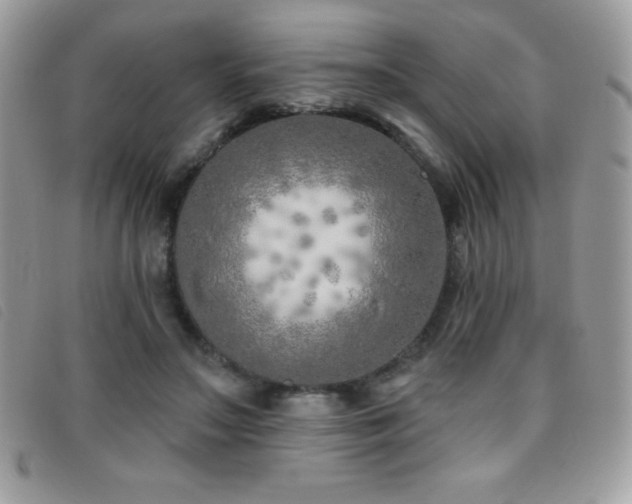 X0000095880499200801111136