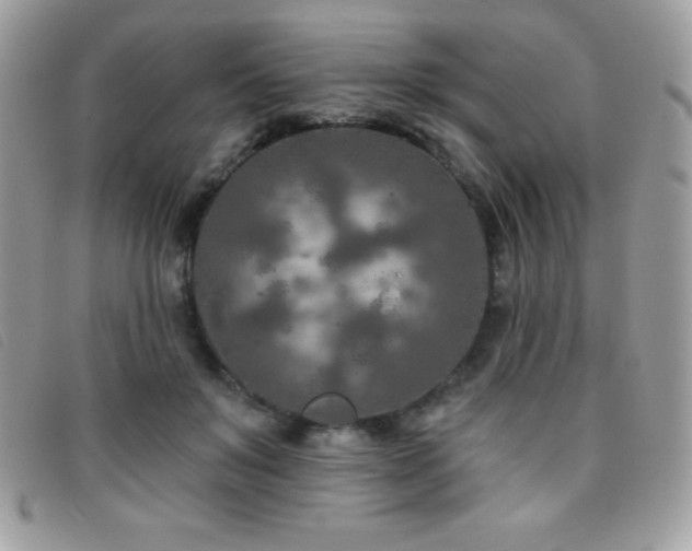 X0000095880503200801111136