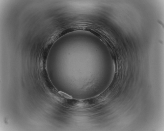 X0000095880504200801111136