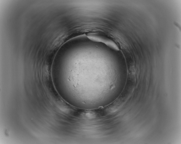 X0000095880506200801111136