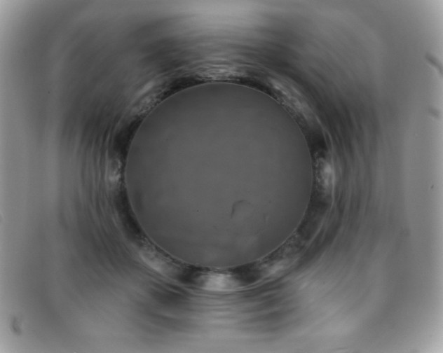 X0000095880507200801111136