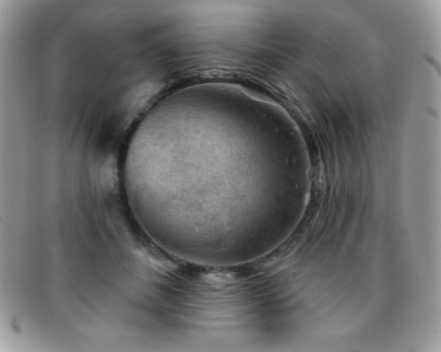 X0000095880508200801111136
