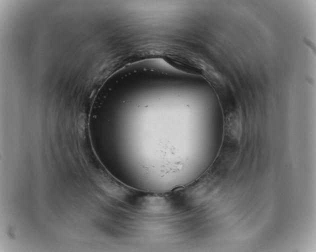 X0000095880509200801111136