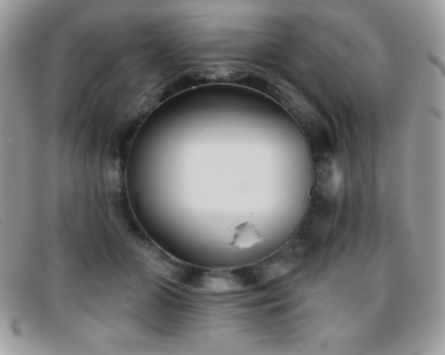 X0000095880510200801111136
