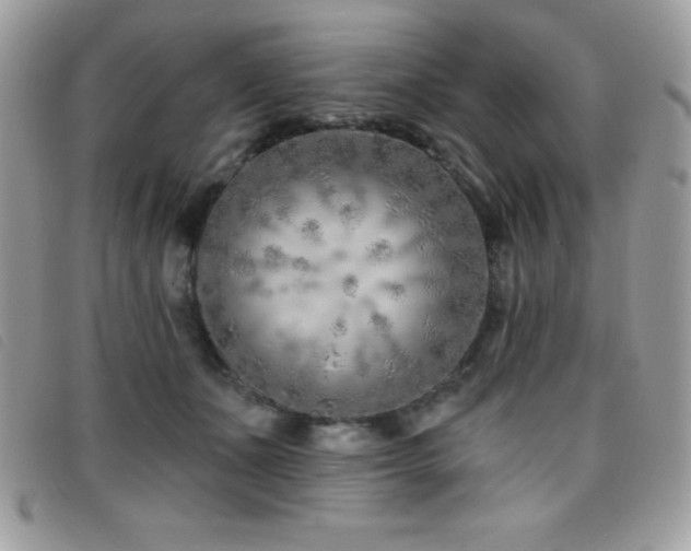 X0000095880511200801111136