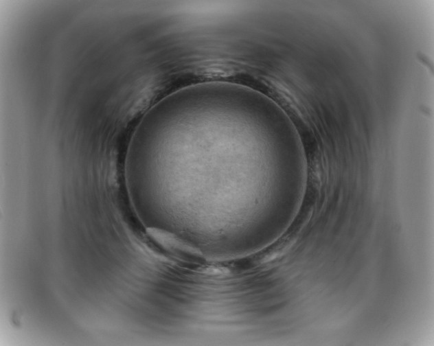 X0000095880512200801111136