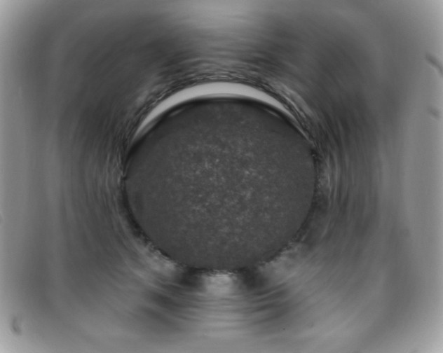 X0000095880513200801111136