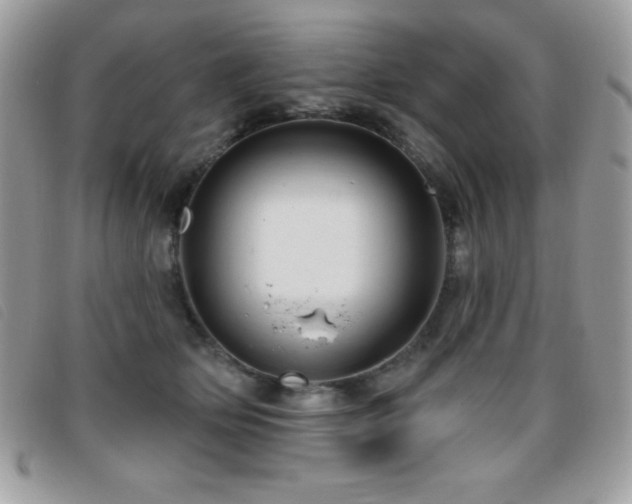 X0000095880514200801111136