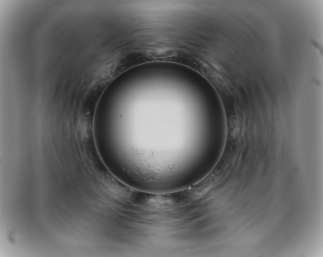 X0000095880515200801111136