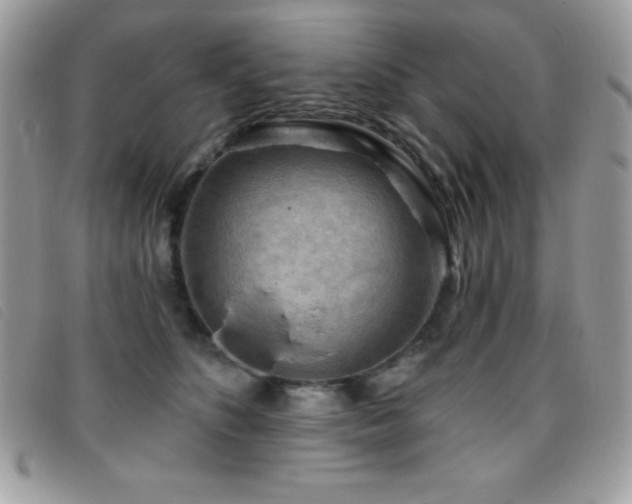 X0000095880516200801111136