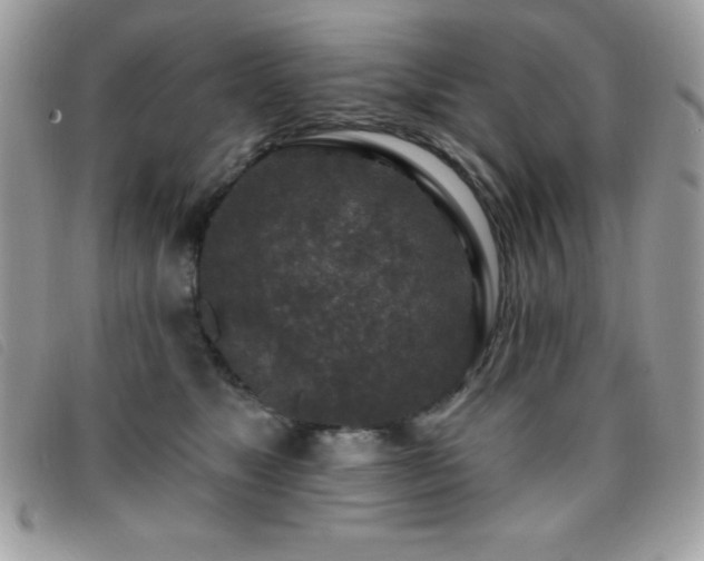 X0000095880517200801111136