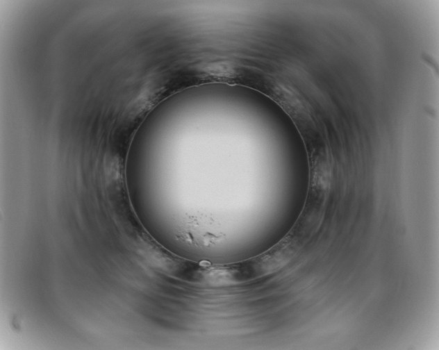 X0000095880518200801111136