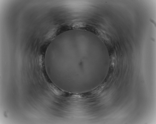 X0000095880519200801111136