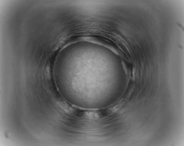 X0000095880520200801111136