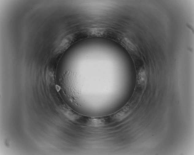 X0000095880522200801111136
