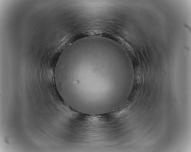 X0000095880523200801111136