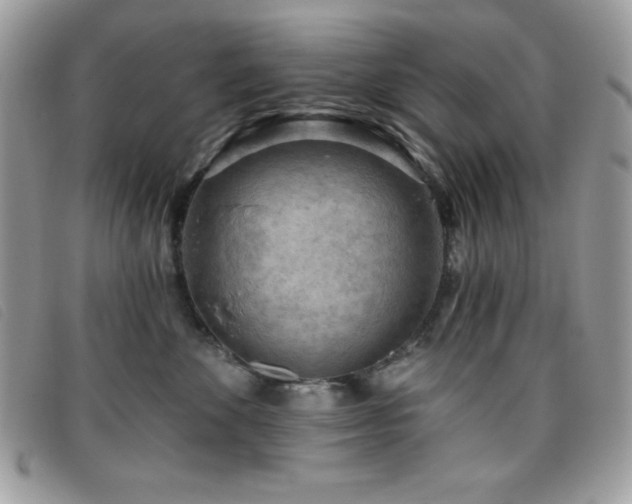 X0000095880524200801111136