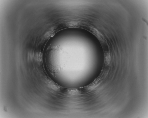 X0000095880525200801111136