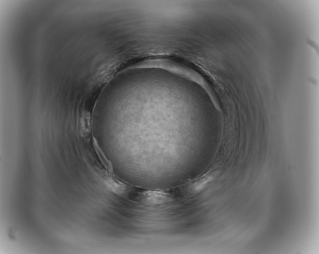 X0000095880528200801111136