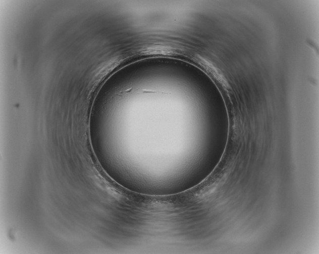 X0000095880529200801111135