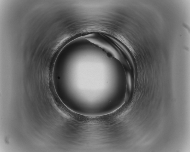X0000095880530200801111135
