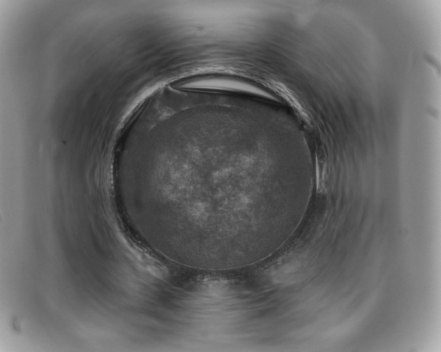 X0000095880531200801111135