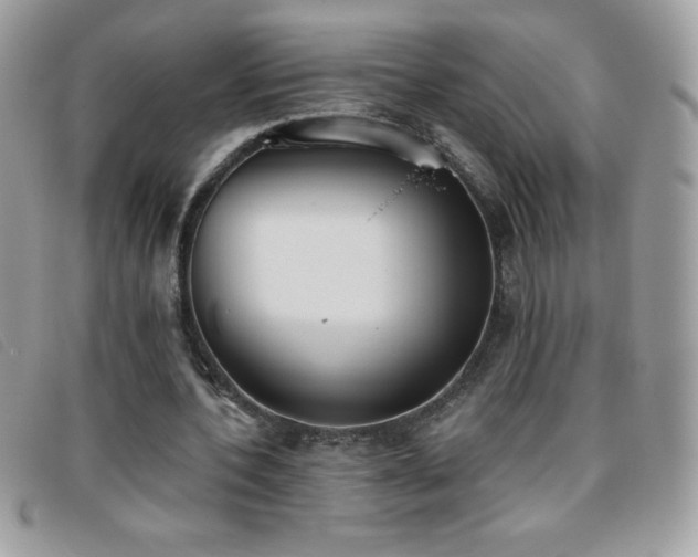 X0000095880532200801111135