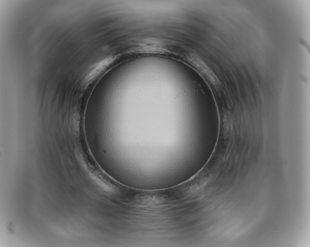 X0000095880533200801111135