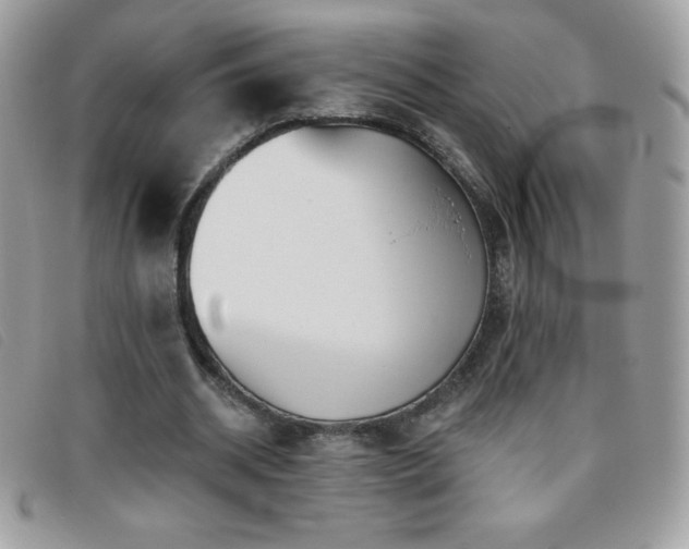 X0000095880534200801111135