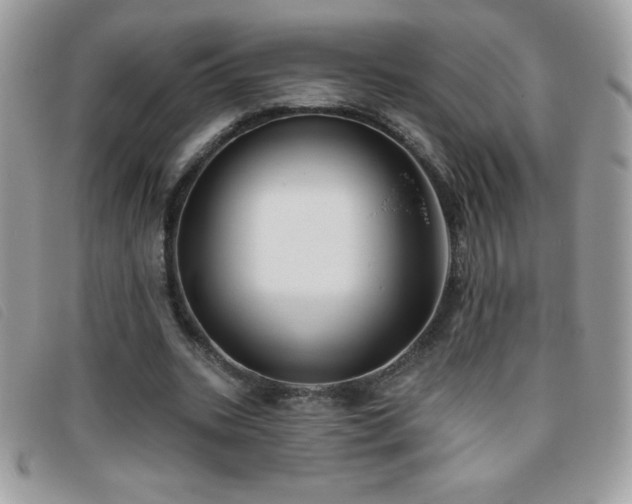 X0000095880535200801111135